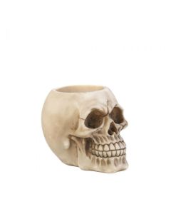 SKULL PEN HOLDER